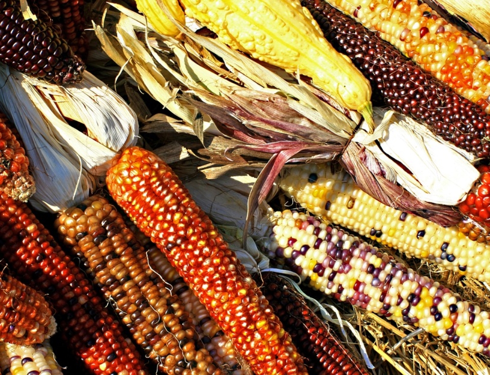 The History of the Tortilla