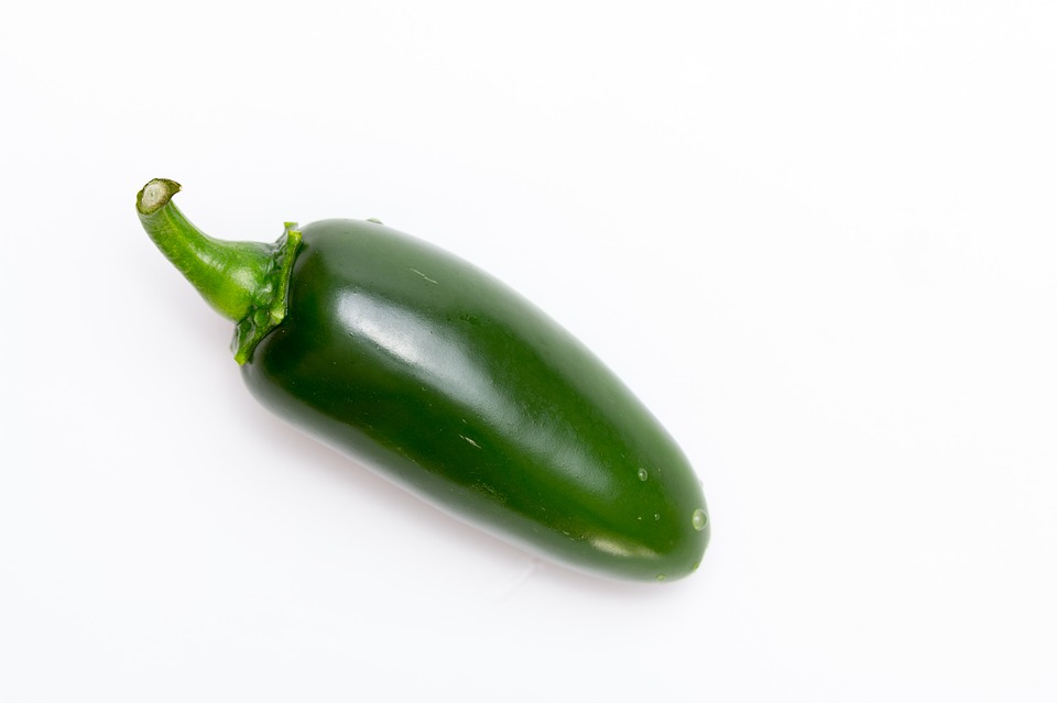 jalapeno pepper