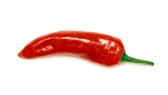 serrano pepper